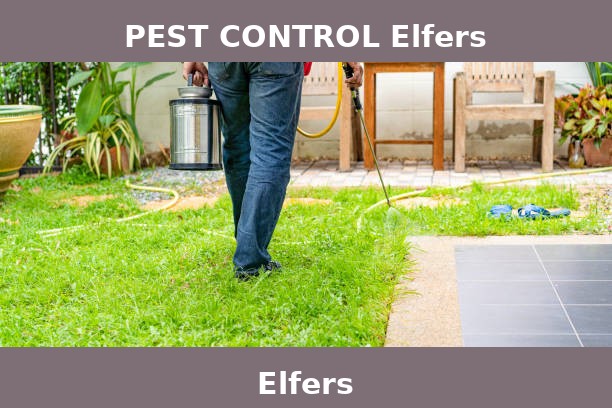 PEST CONTROL Elfers